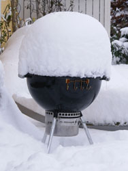Grill 20101127